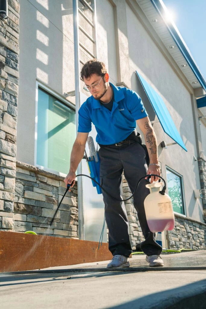 Lantern Media Studio - Polished